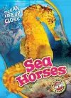 Sea Horses cover