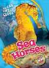 Sea Horses cover