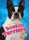 Boston Terriers cover