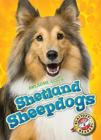 Shetland Sheepdogs cover