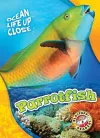 Parrotfish cover