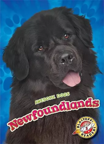 Newfoundlands cover