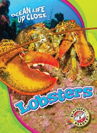 Lobsters cover