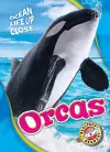 Orcas cover