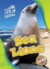 Sea Lions cover