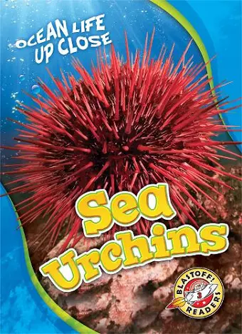 Sea Urchins cover