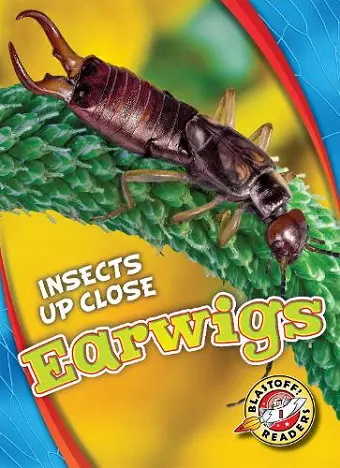 Earwigs cover