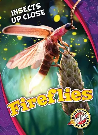 Fireflies cover