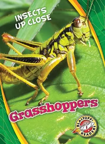 Grasshoppers cover