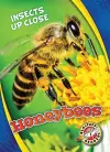 Honeybees cover