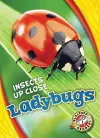 Ladybugs cover