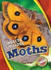 Moths cover