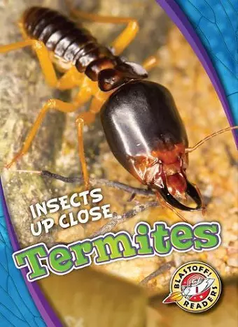 Termites cover
