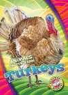 Turkeys cover