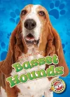 Basset Hounds cover