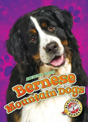 Bernese Mountain Dogs cover