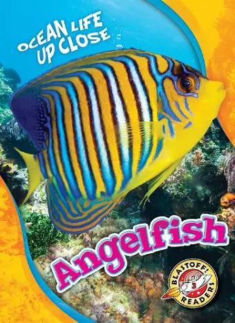 Angelfish cover