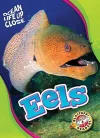 Eels cover