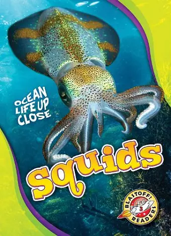 Squids cover