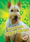 Scottish Terriers cover
