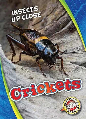 Crickets cover