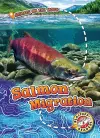 Salmon Migration cover