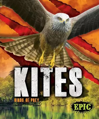 Kites cover