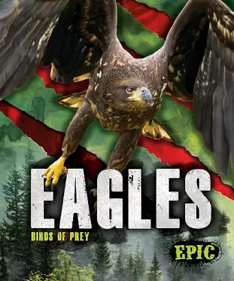 Eagles cover