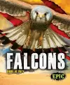 Falcons cover