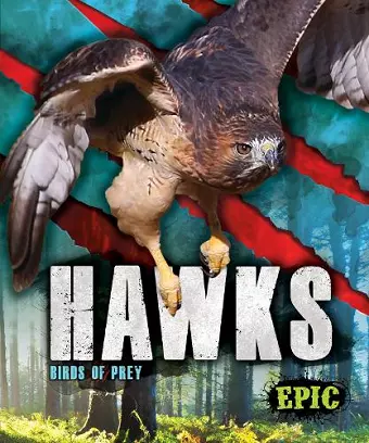 Hawks cover