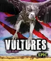 Vultures cover
