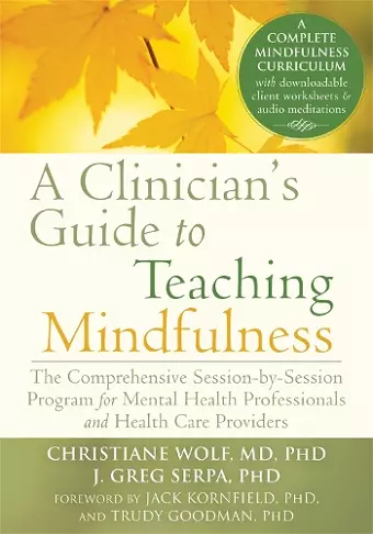 A Clinician's Guide to Teaching Mindfulness cover