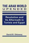 Arab World Upended cover