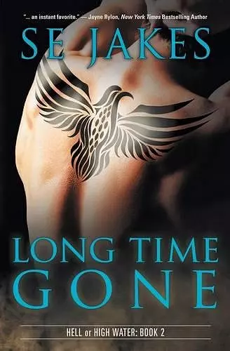 Long Time Gone cover