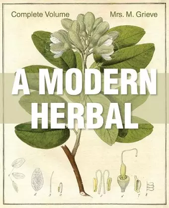 A Modern Herbal cover