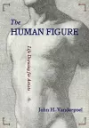 The Human Figure cover