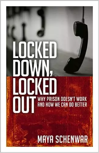 Locked Down, Locked Out: Why Prison Doesn't Work and How We Can Do Better cover