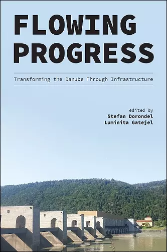 Flowing Progress cover