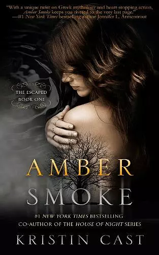 Amber Smoke cover