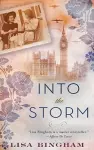Into the Storm cover