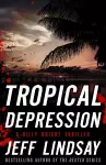 Tropical Depression cover