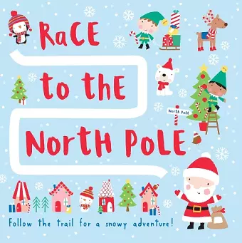 Race to the North Pole cover