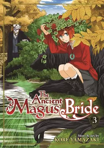 The Ancient Magus' Bride Vol. 3 cover