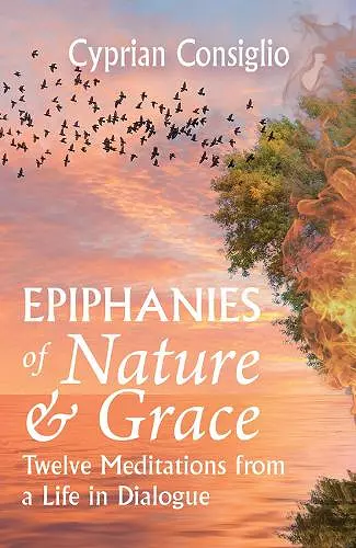 Epiphanies of Nature and Grace cover