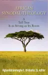 African Synodal Theology cover