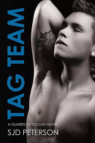 Tag Team Volume 2 cover