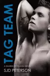 Tag Team Volume 2 cover