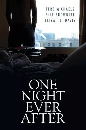 One Night Ever After cover