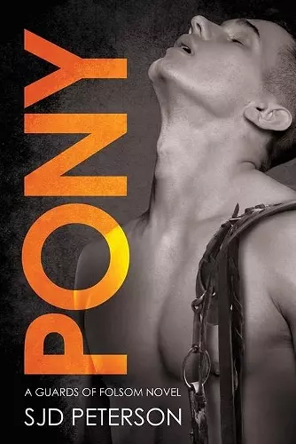 Pony Volume 3 cover