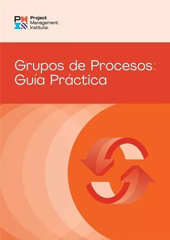 Process Groups: A Practice Guide (SPANISH) cover